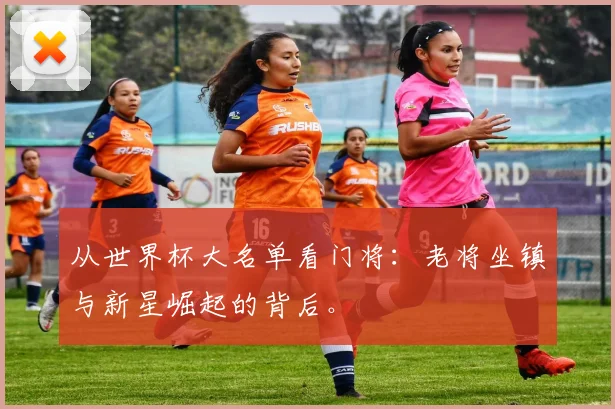 从世界杯大名单看门将：老将坐镇与新星崛起的背后。